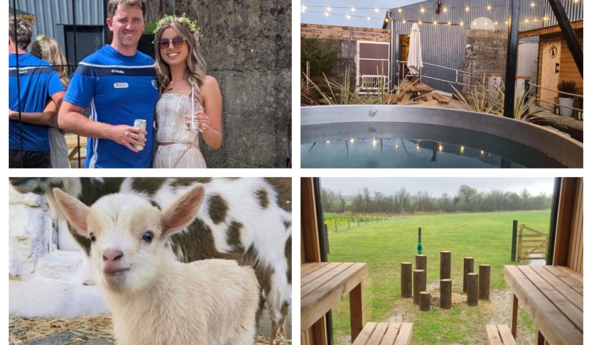 "Goat Sauna" - quirky Kildare business goes viral