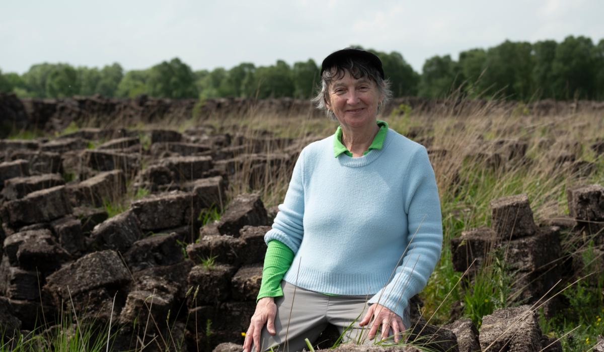 Kildare artists and creatives feature in first ever guide for wetlands communities