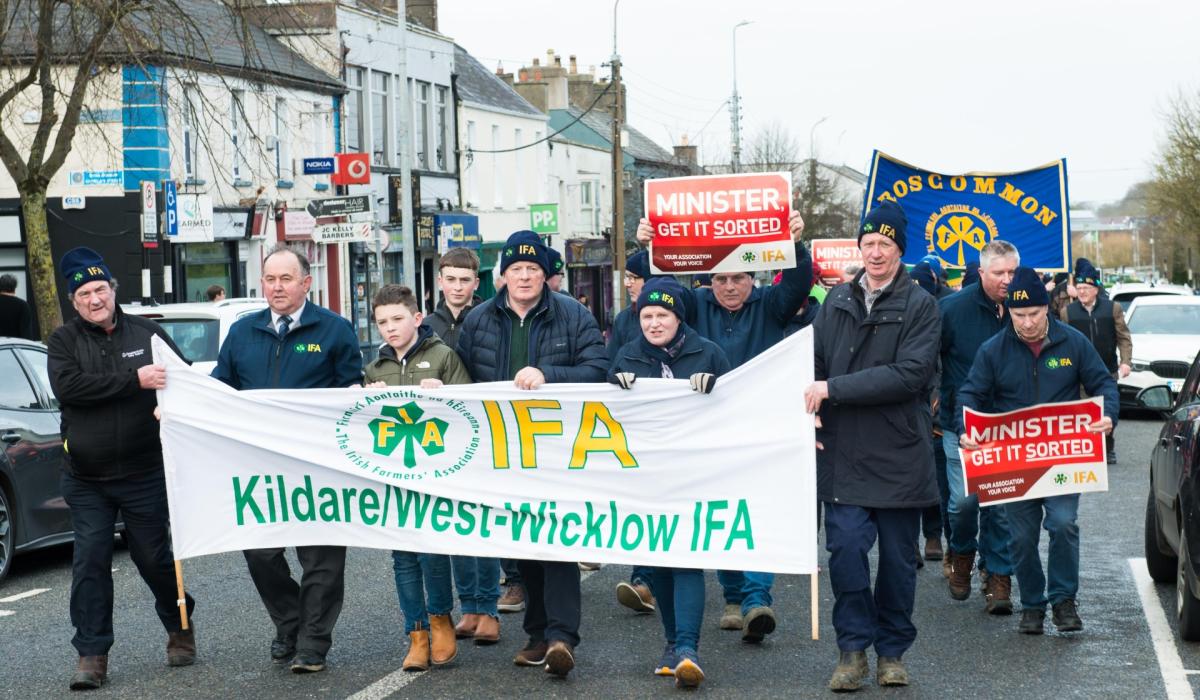 Kildare minister welcomes end of sit-in protest at Bord Bia following promise of review