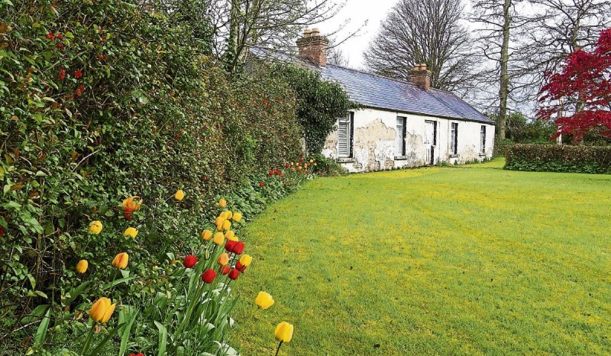 Kildare cottage sells at auction for €70,000 more than it did in May