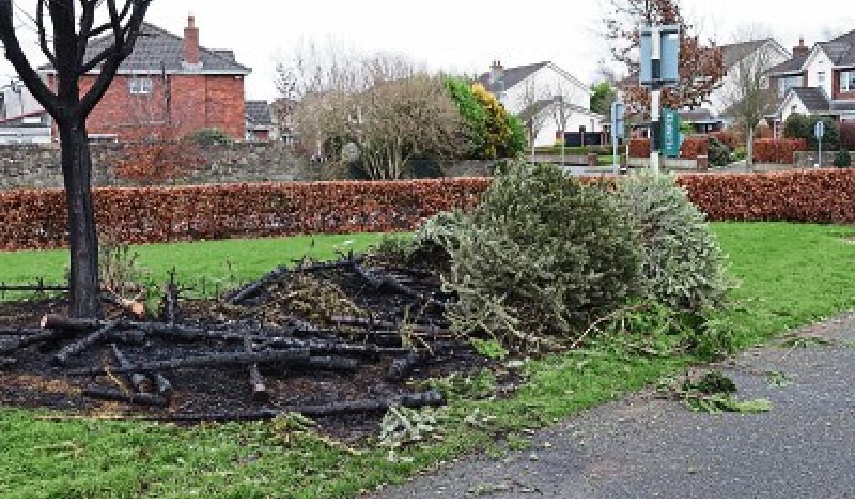 Christmas trees set on fire while waiting for collection in Kildare
