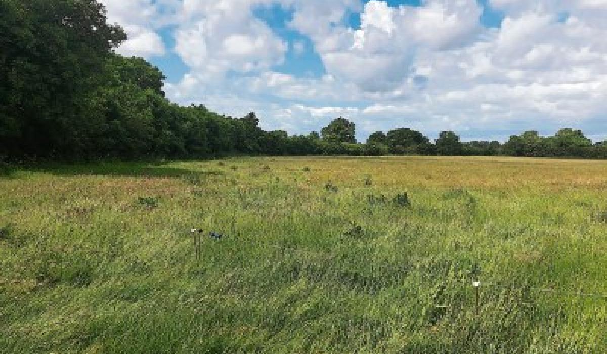 KILDARE PROPERTY WATCH 28 acres of Prosperous land up for sale with