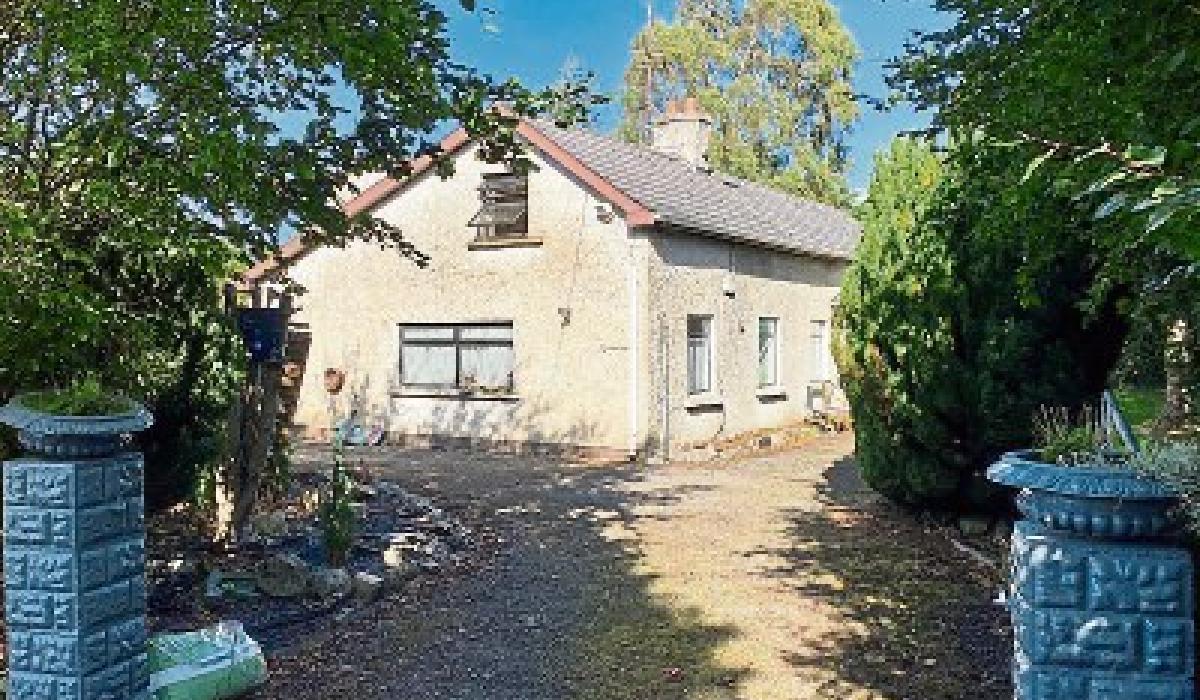 KILDARE PROPERTY WATCH Former garden centre at Ardscull, Athy, for