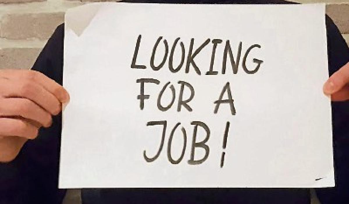 Jobseeking help for Kildare young people Kildare Live