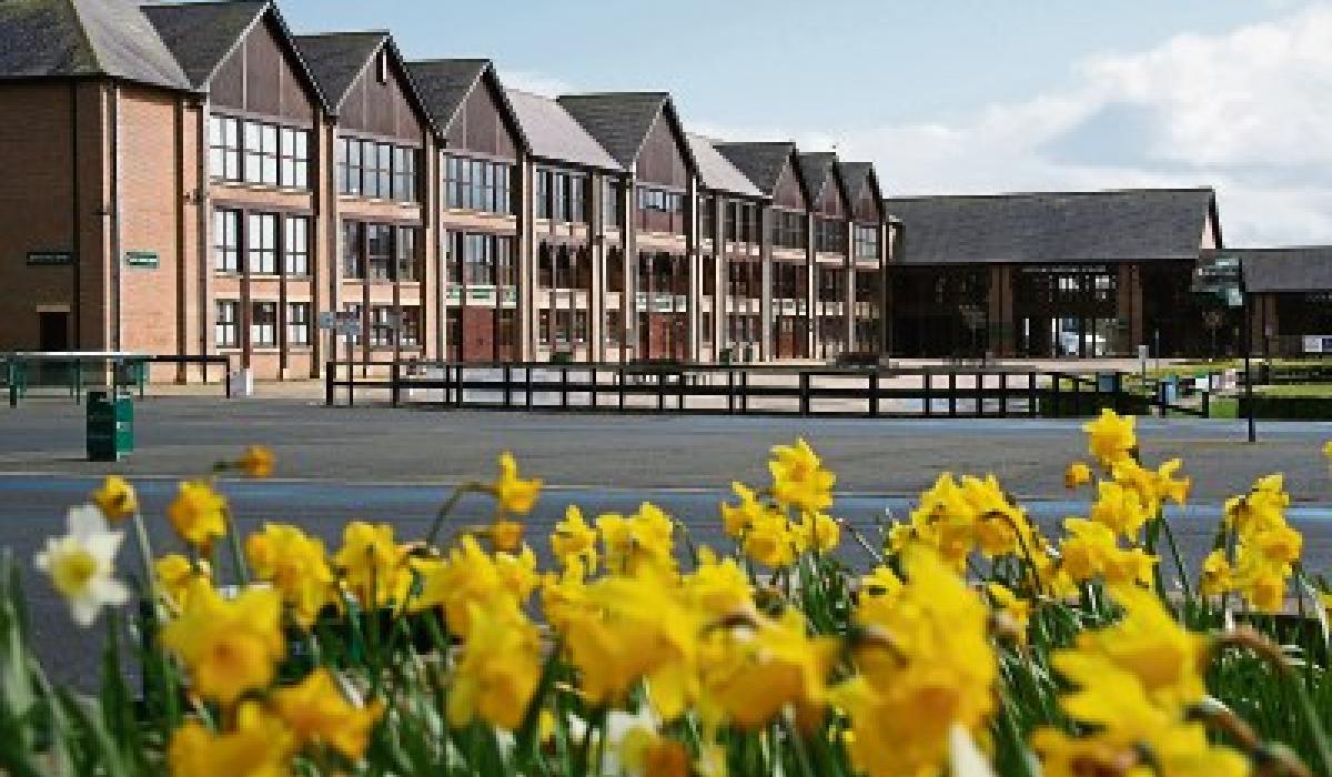 New stand for Punchestown Racecourse Kildare Live