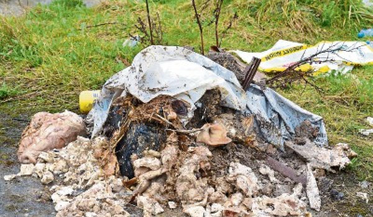 Kildare County Council rejects waste collection discount move Kildare