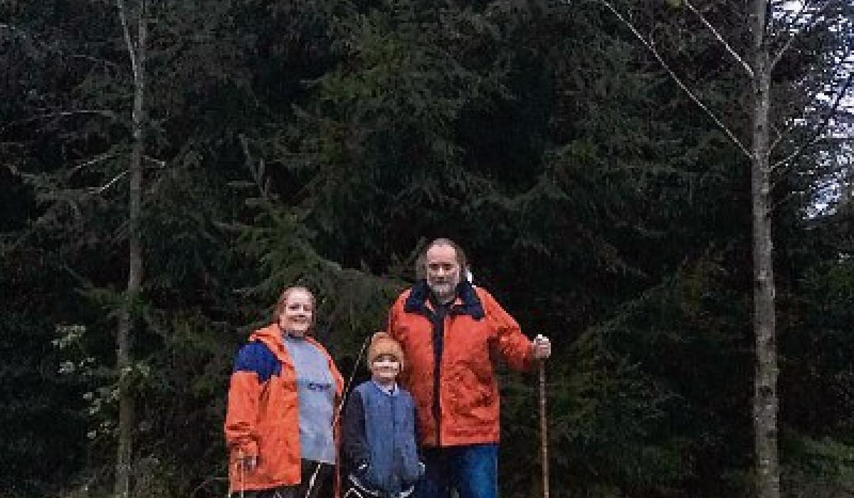 Selecting this year's Christmas Tree for Kildare town Kildare Live