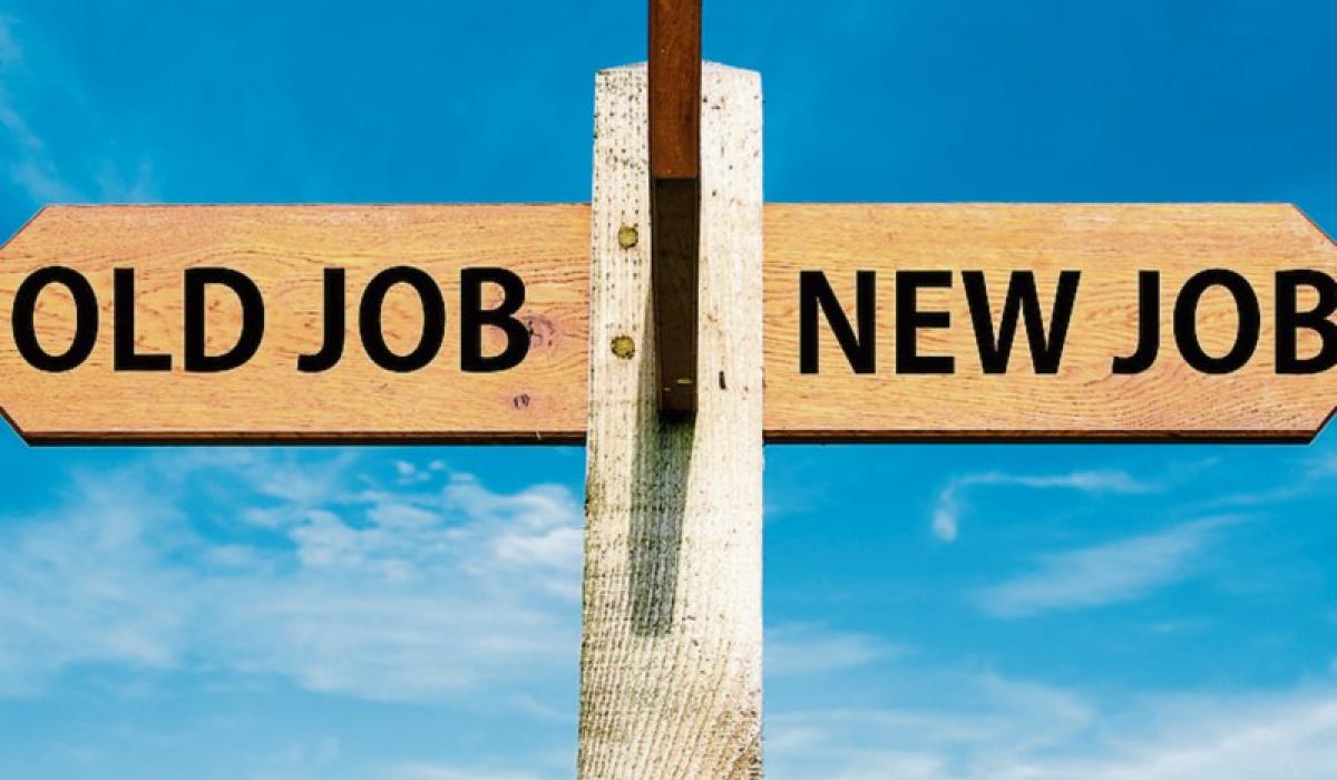 Kildare jobs roundup who's hiring in the county this week? Kildare Live
