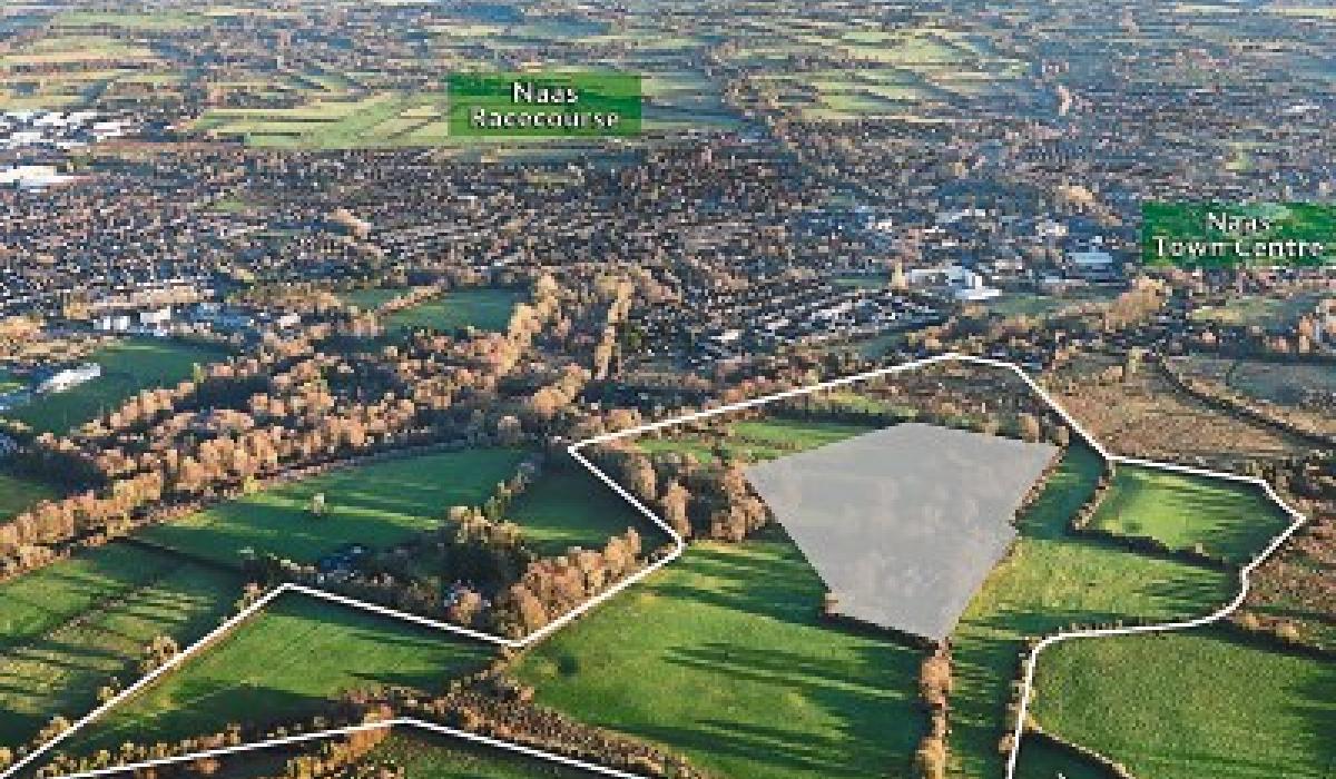 Naas, Co Kildare, 57acre land bank on sale for over €6 million