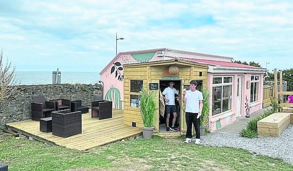 Ukrainian teens land summer jobs with help from Kildare business