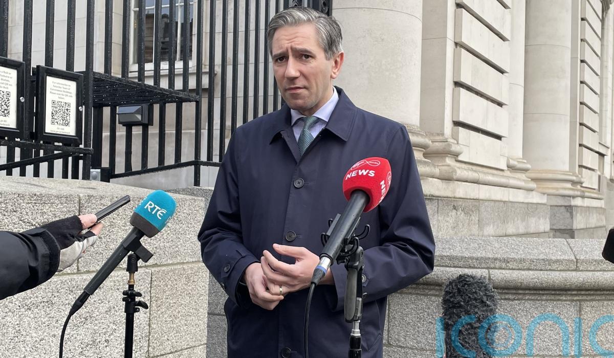 Government has ‘no intention of becoming a landlord’, says Tanaiste