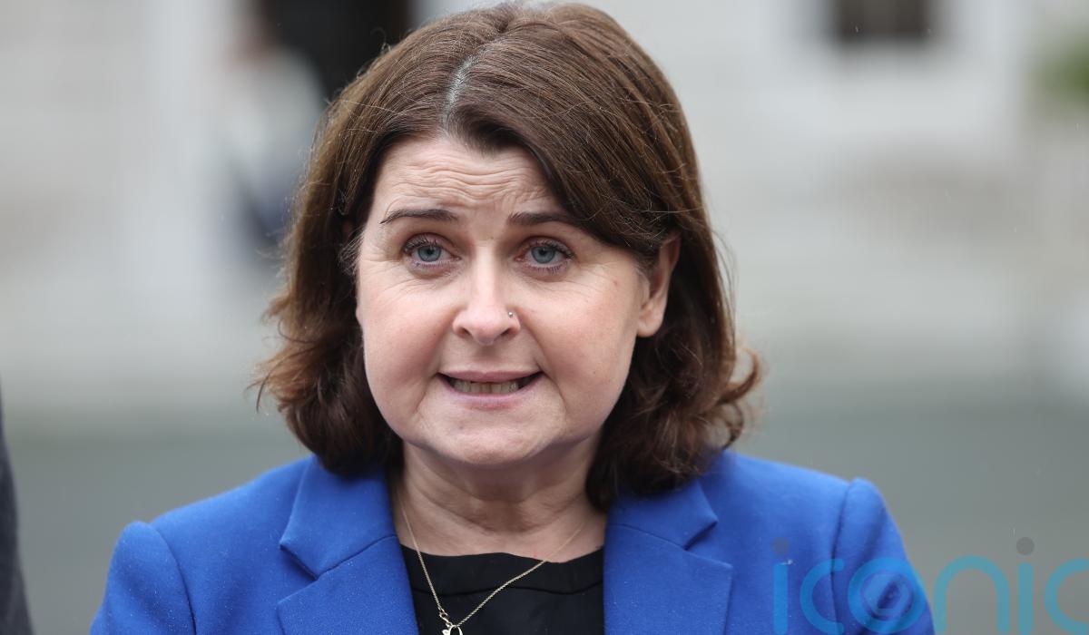 Stricter rules for puppy farms is ‘something people want action on’, Dail hears