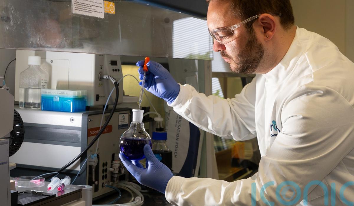 State of the art research into ‘mini brains’ at University of Galway