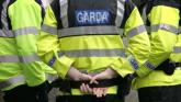 Motorist stopped by gardai at Rathangan, Kildare
