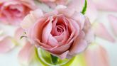 Kildare Death Notices for today: Friday, September 5 2025