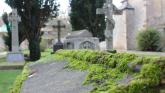 Calls to upgrade footpaths in this Kildare cemetery