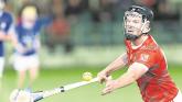 Kildare SHC: Coill Dubh shock Celbridge