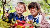 Free trees for Kildare primary schools this National Tree Day