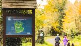 Kildare’s Donadea Forest Park and Mullaghreelan Wood among Top 20 most visited Coillte recreational parks