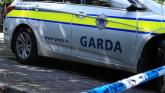 Kildare garda issues renewed information appeal relating to fatal Mylerstown road traffic collision