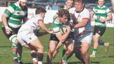 Naas defeated but gain a valuable try-scoring bonus point