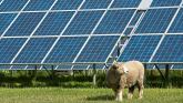 LATEST: Kildare planners block plans for &euro;40m solar farm 