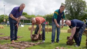 PHOTO GALLERY: Turf Footing Championships and Country Fair at Ballyteague GAA