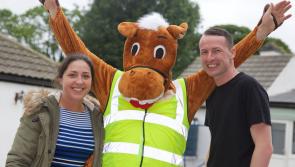 PHOTO GALLERY: Kildare Animal Foundation open day