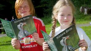 PHOTO GALLERY: Children's birdwatching walk at Donadea 