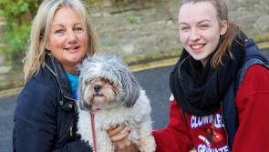 PHOTO GALLERY: 'Barking Mad' fundraiser in Naas