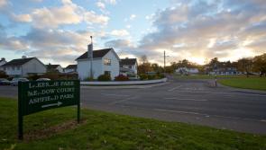 Tragic deaths of elderly Naas couple