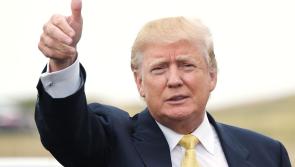 Thoughts on Trump, Brexit and the abandoned majority 