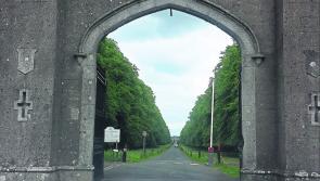 Clongowes tops table of Kildare schools