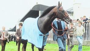 Shergar: 30 years later - From Bracknagh to Epsom: Jockey Swinburn remembers 