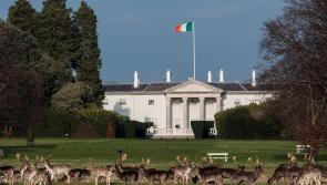 Kildare's Arts Service celebrates St Patrick’s Day at Áras an Uachtaráin