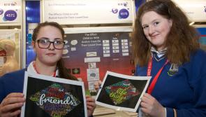 My experience at the BT Young Scientist exhibition 