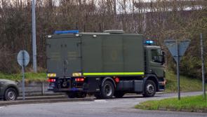 Three improvised explosive devices found in Naas bomb squad search