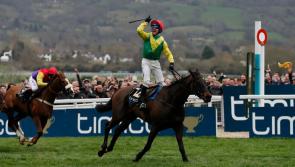 Homecoming parade in Moone this Sunday for Kildare's Gold Cup winner