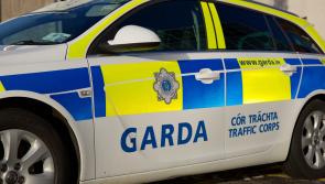 Road safety warning ahead of busy Punchestown Festival