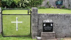 Kildare Senator calls on government to exhume Tuam Mother and Baby home site