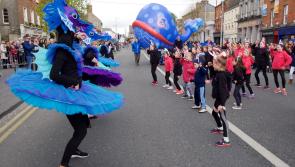 PHOTO GALLERY: Naas Easter Parade