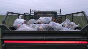 Army lead Curragh Clean-Up