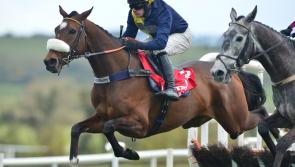 Day 4 Punchestown Racing Results: Friday, April 28