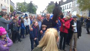 Irish Grand National Champ returns to Kildare 