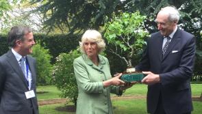 Racing legends meet Camilla at Kildare's National Stud