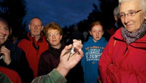 Plenty planned for Kildare's Biodiversity week