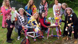 PHOTO GALLERY: The Newbridge yarn bombers are back