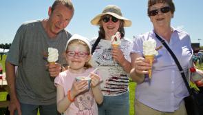 PHOTO GALLERY: Kildare County Show in sunny Athy