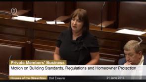 WATCH: Kildare TD Fiona O'Loughlin demands publication of Millfield report in Dail