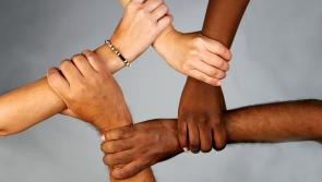 Programme for refugee activists in Kildare